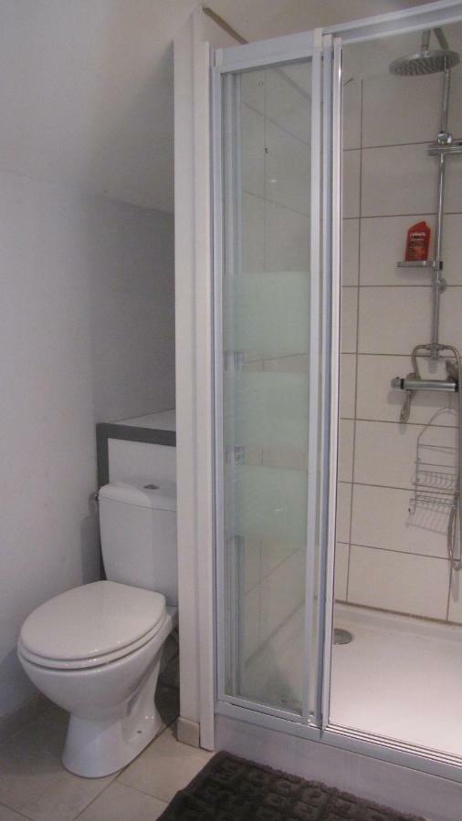 Les Hardilles Bed & Breakfast Chatillon-sur-Cher Exterior photo